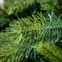 Vánoční stromky - DLED K066 DecoLED Vánoční strom, 2D a 3D jehličí, borovička,180cm K066 - foto 4