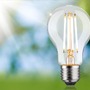 E27 - P 29253 Eco-Line Filament 230V LED žárovka E27 8,2W 3000K stmívatelné čirá - PAULMANN - foto 4