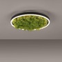 Kruhová - LD 15391-66 GREEN RITUS LED stropní svítidlo 40x40 islandský mech Switchmo 3-krokové stmívání 3000K akustické - LEUCHTEN DIREKT / JUST LIGHT - foto 5