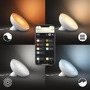SmartHome Paul Neuhaus - PH 8718699770983 Hue LED White and Color Ambiance Stolní přenosná lampa Philips Bloom BT 8718699770983 7,1W 500lm 2000-6500K IP20 RGB bílá - PHILIPS (929002375901) - foto 5