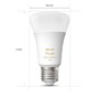 SmartHome Paul Neuhaus - PH 8719514328266 AKCE - Hue Bluetooth LED White Ambiance set 3ks žárovek Philips 8719514328266 E27 A60 3x6W 3x800lm 2200-6500K bílé stmívatelné - PHILIPS (929002489803) - foto 5