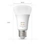 SmartHome Paul Neuhaus - PH 8719514328402 Hue Bluetooth LED White and Color Ambiance set 4ks žárovek Philips 8719514328402 E27 A60 6,5W 800lm 2000-6500K RGB stmívatelné - PHILIPS (929002489604) - foto 5