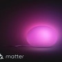Stolní lampy dekorační - PH 8721103118813 Hue Flourish stmívatelná lampa EU A60 WCA 1000-20000K RGB - PHILIPS - foto 5