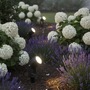 Connect To Shine - BRI 3927035 CONNECT TO SHINE startovací sada 12V zahradní osvětlení - trafo, 3x LED bodové svítidlo se zápichem, nastavitelné, IP65, černá - BRILONER - foto 5