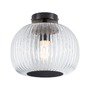 Kruhová - P 71146 LED stropní svítidlo Ruya IP44 E27 230V max. 60W sklo/černá mat - PAULMANN - foto 5