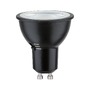 GU10/GZ10 - P 29279 Standard 230V LED reflektor GU10 Dip Switch 4,6W 2700 - 4000K černá mat - PAULMANN - foto 5