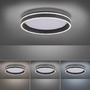 Kruhová - PN 8414-13 Q-VITO LED stropní svítidlo Smart-Home antracit s měnitelnou teplotou chromatičnosti s pamětí a ovladačem stmívání ZigBee 2700-5000K - PAUL NEUHAUS - foto 5