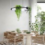 Dekorativní - ZUMA 002177-026165 5005 PLANT 3 závěsné svítidlo - ZUMALINE - foto 5