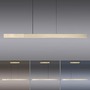 Podélná - PN 2545-60 Paul Neuhaus LED závěsné svítidlo PURE-MOTO-RISE elektricky nastavitelná výška dotykový vypínač 2700-5000K zlatá imperial - PAUL NEUHAUS - foto 5