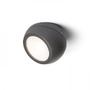 Nástěnná - RED R13502 SIV přisazená antracitová 230V LED 6W 120° IP54 3000K - RED - DESIGN RENDL - foto 5