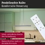 Podélná - P 78475 LED závěsné svítidlo Raiko RGBW+ stmívatelné / 19W / 6W stříbrná mat - PAULMANN - foto 5