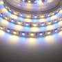 Barevné LED pásky - RGB, RGBW, RGB+CCT - 24V RGB+WW 14,4W vnitřní LED pásek záruka 3 roky - foto 5