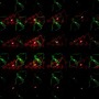 LED a LASER projektory - DLED LL02 DECOLED Laserové vánoční osvětlení, různé motivy - foto 5