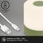 Na stůl - BRILO 7461019 LED nabíjecí stolní lampa, 7 cm, 2W, 150lm, zelená - BRILO - foto 5