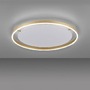 Kruhová - LD 15392-60 RITUS LED stropní svítidlo, matná mosaz, kruhové pr.60cm, stmívatelné, Switchmo, teplá bílá krokově stmívatelné 3000K - LEUCHTEN DIREKT / JUST LIGHT - foto 5
