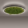 Kruhová - LD 15392-66 GREEN RITUS LED stropní svítidlo 60x60 islandský mech Moos Switchmo 3 krokové stmívání 3000K akustické - LEUCHTEN DIREKT / JUST LIGHT - foto 5