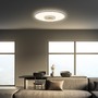 Kruhová - BRI 3847014 Toro LED stropní svítidlo, tunelový efekt, přímé a nepřímé osvětlení, matný chrom, 42cm kruhové - BRILONER - foto 5