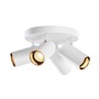 Bodová - LA 1006430 ASTO TUBE stropní přisazené svítidlo, válcové, max. 4x 10 W, bílé - BIG WHITE (SLV) - foto 5