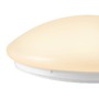 Kruhová - LA 1007517 SURFACE V 390 10/15/20W 830/840 IP44 Čidlo - BIG WHITE (SLV) - foto 5