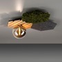 Dekorativní - LD 15199-70X VÝPRODEJ VZORKU - Nástěnné svítidlo GREEN dub přírodní dřevo s akustickým panelem kouřové sklo - JUST LIGHT - foto 5