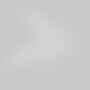 Lištové Magnetic Maytoni Exility - M TR032-4-20WTW-S-DD2-W Svítidlo pro kolejnicový systém Focus LED 2700K 20W 1200lm bílý hliník stmívatelné Exility - MAYTONI - foto 5