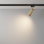 Svítidla - M TR011-1-GU10-G Svítidlo pro kolejnicový systém Focus Design GU10 50W zlatý hliník Unity - MAYTONI - foto 5