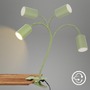 Stolní lampy s klipem - BRI 2176019 Fleks lampička na stůl, nastavitelná, s klipsem, zelená - BRILONER - foto 5