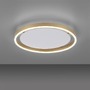 Kruhová - LD 15391-60 RITUS LED stropní svítidlo, matná mosaz, kruhové, pr.40cm, stmívatelné, Switchmo, teplá bílá krokově stmívatelné 3000K - LEUCHTEN DIREKT / JUST LIGHT - foto 5