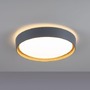 Kruhová - LD 14347-15 LED stropní svítidlo, kruhové, pr. 40 cm, stmívatelné, šedá, dekor dřeva, krokově stmívatelné, 3000K - JUST LIGHT - foto 5