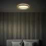 Kruhová - BRI 3844015 Remsa LED stropní svítidlo, dekor dřeva, přímé a nepřímé osvětlení, oválné 31,5x29 cm, černá/dřevo - BRILONER - foto 5