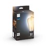 SmartHome Paul Neuhaus - PH 8719514301504 Hue Bluetooth LED White Ambiance filamentová žárovka Philips 8719514301504 E27 ST72 7W 550lm 2200-4500K černá, stmívatelná - PHILIPS (929002477901) - foto 5