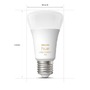 SmartHome Paul Neuhaus - PH 8719514328280 Hue Bluetooth LED White Ambiance set 4ks žárovek Philips 8719514328280 E27 A60 6W 800lm 2200-6500K stmívatelné - PHILIPS (929002489804) - foto 5