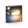 SmartHome Paul Neuhaus - PH 41165/31/P6 Hue Bluetooth LED White Ambiance Koupelnové stropní svítidlo Devere M 41165/31/P6 19,2W 2450lm 2200-6500K IP44 38,1cm bílé, stmívatelné s dálkovým ovladačem - PHILIPS HUE (915005997601) - foto 5