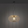 Dekorativní - LD 11409-79 RACOON LED závěsné svítidlo přírodní dřevo 1 ramenné ellipsenförmig Hängežárovka - LEUCHTEN DIREKT / JUST LIGHT - foto 5