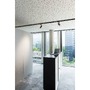 Svítidla - LA 1004083 3~ NUMINOS® PHASE S 3fázové systémové svítidlo černá/černá 3000 K 36° - BIG WHITE (SLV) - foto 5