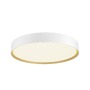 Kruhová - LA 1008923 DECONA 42 CL, PHASE, stropní světlo pro povrchovou montáž, kulaté, 3000/4000 K, 23 W, bílá / zlatá - BIG WHITE (SLV) - foto 5