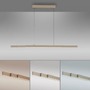 Podélná - PN 2598-97 LED závěsné svítidlo ADRIANA, Comfort Lift, bronz, 2700-5000K - PAUL NEUHAUS - foto 5