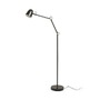 Stojací lampy - RED R14190 DANNY stojanová černá mosaz 230V E14 5W - RED - DESIGN RENDL - foto 5