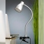 Stolní lampy s klipem - BRI 2615014P LED svítidlo se svorkou 28,5 cm 2,5W 250lm titan (starý kód: BRI 2615-014P) - BRILONER - foto 5