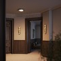 Kruhová - M MOD533CL-L22BK Stropní svítidlo Clarett 22W MOD533CL-L22BK - MAYTONI - foto 5
