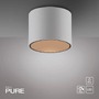 Downlight - PN 6761-16 LED stropní svítidlo PURE Point, bílá, vnitřní stmívatelné 2700K - PAUL NEUHAUS - foto 6