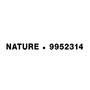Ventilátory - NV 9952314 Stropní ventilátor se světlem NATURE matná bílá ocel a sklo dubové dřevo 5 rychlostí 25W LED - NOVA LUCE - foto 6