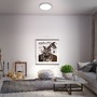 Kruhová - BRILO 3709-014 RGBW LED přisazené svítidlo pr. 38 cm, 22 W, 2900 lm, stříbrná - BRILO - foto 6