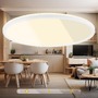 Kruhová - BRILO 7694016 Slim svítidlo LED panel pr.42 cm - 22W, 3000lm, LED, stmívatelné, dálkový ovladač, RGBIC, bílé - BRILO - foto 6