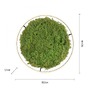 Kruhová - LD 15392-66 GREEN RITUS LED stropní svítidlo 60x60 islandský mech Moos Switchmo 3 krokové stmívání 3000K akustické - LEUCHTEN DIREKT / JUST LIGHT - foto 6