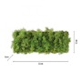 Dekorativní - LD 15637-66 GREEN CARLO LED nástěnné svítidlo islandský mech teplá bílá 3000K akustické - LEUCHTEN DIREKT / JUST LIGHT - foto 6