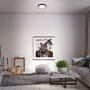 Kruhová - BRILO 3701-015 CCT LED přisazené svítidlo pr. 28 cm, 18 W, 2000 lm, černá - BRILO - foto 6