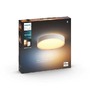 SmartHome Paul Neuhaus - PH 41166/31/P6 Hue Bluetooth LED White Ambiance Koupelnové stropní svítidlo Devere L 41166/31/P6 33,5W 4300lm 2200-6500K IP44 42,5cm bílé, stmívatelné s dálkovým ovladačem - PHILIPS HUE (915005997701) - foto 6