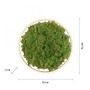 Kruhová - LD 15391-66 GREEN RITUS LED stropní svítidlo 40x40 islandský mech Switchmo 3-krokové stmívání 3000K akustické - LEUCHTEN DIREKT / JUST LIGHT - foto 6
