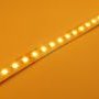 Jednobarevné LED pásky 12V, 24V, 230V - AMBER pásek 9,6W/m, 1800K, 10mm, PROFI, 24V, IP20, 120LED/m, 2835, 5let záruka - foto 3